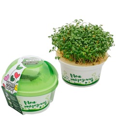Набор для выращивания микрозелени Здоровья Клад «Моя микрозелень» кресс-салат
