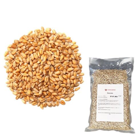 Пшеница для проращивания Зерница 500 г